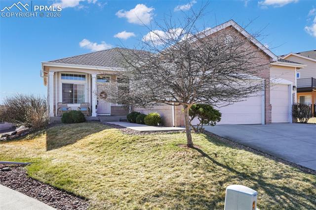 MLS Image for 6225  Fencerail  ,Colorado Springs, Colorado