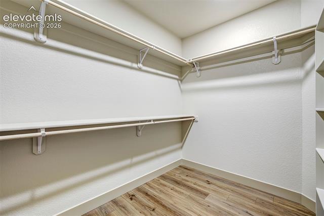 MLS Image for 620  Misty Pines  ,Woodland Park, Colorado
