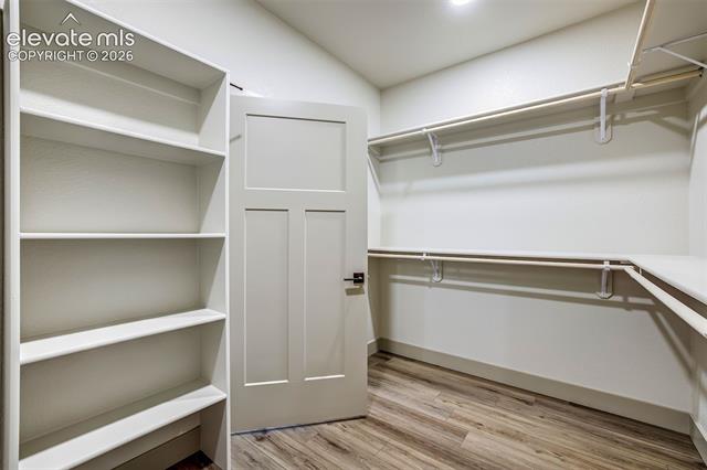 MLS Image for 620  Misty Pines  ,Woodland Park, Colorado