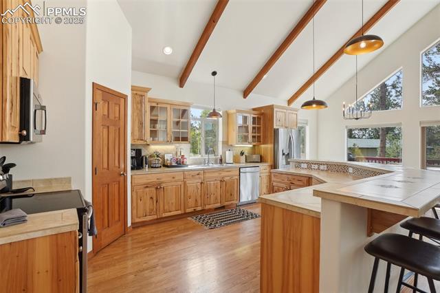 MLS Image for 73  Aspen  ,Woodland Park, Colorado