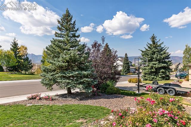 MLS Image for 15435  Desiree  ,Colorado Springs, Colorado