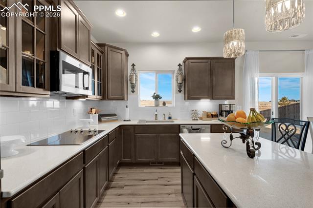 MLS Image for 9033  Yellowtail  ,Colorado Springs, Colorado