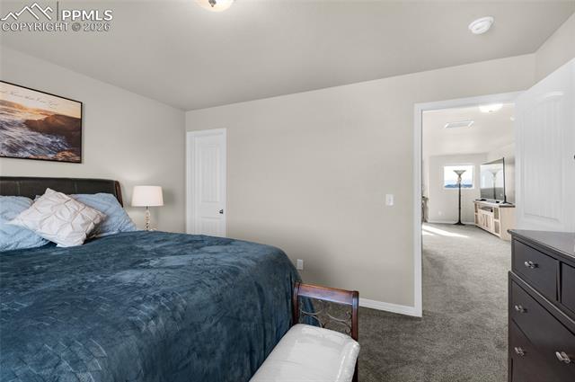MLS Image for 9033  Yellowtail  ,Colorado Springs, Colorado
