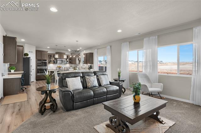 MLS Image for 9033  Yellowtail  ,Colorado Springs, Colorado