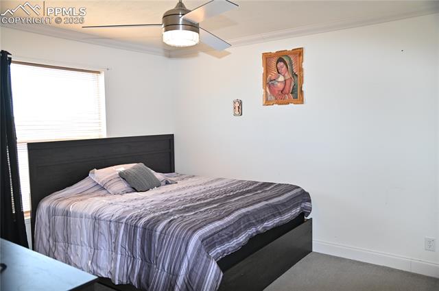 MLS Image for 23628  Redtail  ,Colorado Springs, Colorado