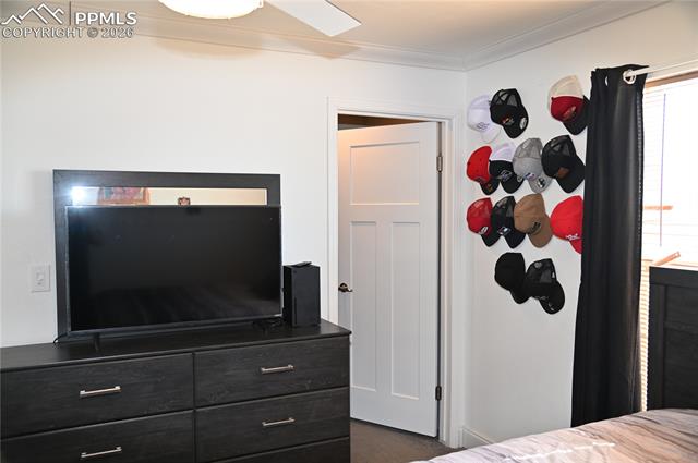 MLS Image for 23628  Redtail  ,Colorado Springs, Colorado