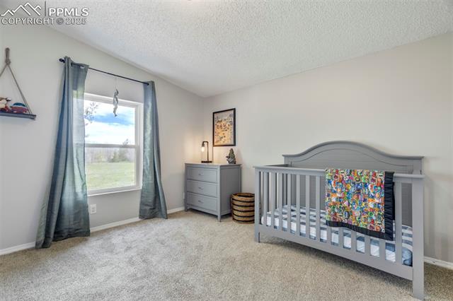 MLS Image for 16580  Sagecreek  ,Peyton, Colorado