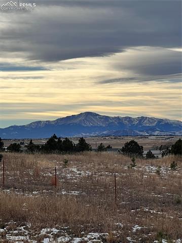MLS Image for 8545  Moss Rock  ,Colorado Springs, Colorado
