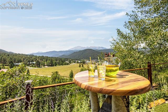 MLS Image for 710  Sunrise  ,Woodland Park, Colorado