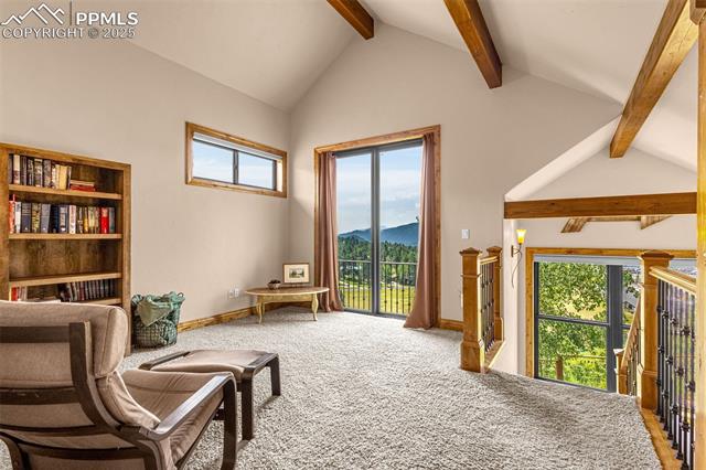 MLS Image for 710  Sunrise  ,Woodland Park, Colorado