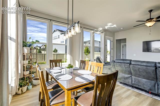 MLS Image for 8318  Sam Bass  ,Colorado Springs, Colorado