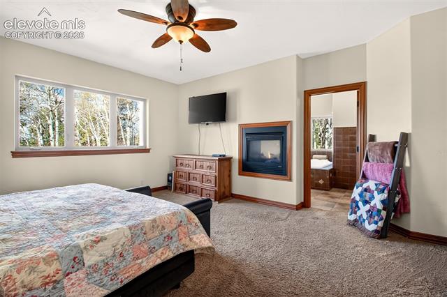 MLS Image for 1471  County Road 51  ,Divide, Colorado