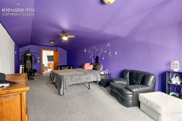 MLS Image for 1471  County Road 51  ,Divide, Colorado