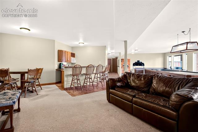 MLS Image for 1471  County Road 51  ,Divide, Colorado