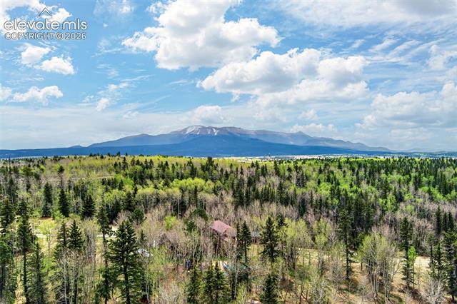 MLS Image for 1471  County Road 51  ,Divide, Colorado