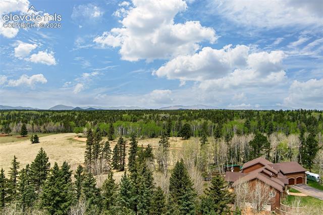 MLS Image for 1471  County Road 51  ,Divide, Colorado