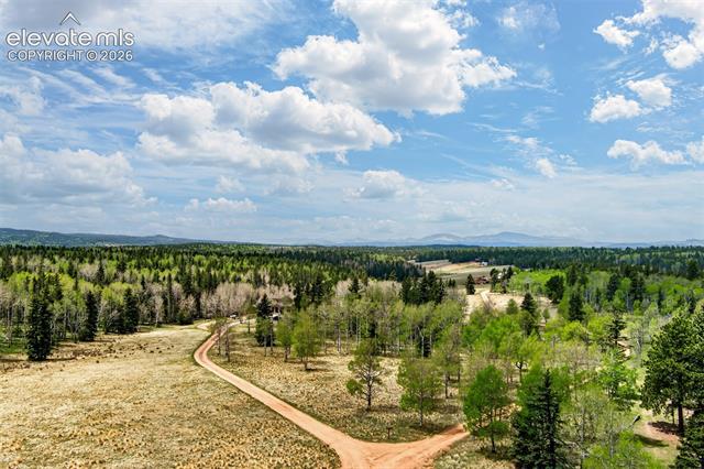 MLS Image for 1471  County Road 51  ,Divide, Colorado