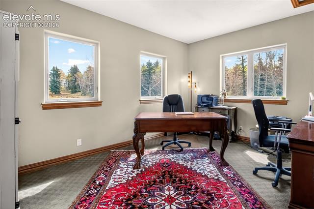 MLS Image for 1471  County Road 51  ,Divide, Colorado