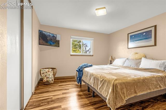 MLS Image for 5365  Rawhide  ,Colorado Springs, Colorado