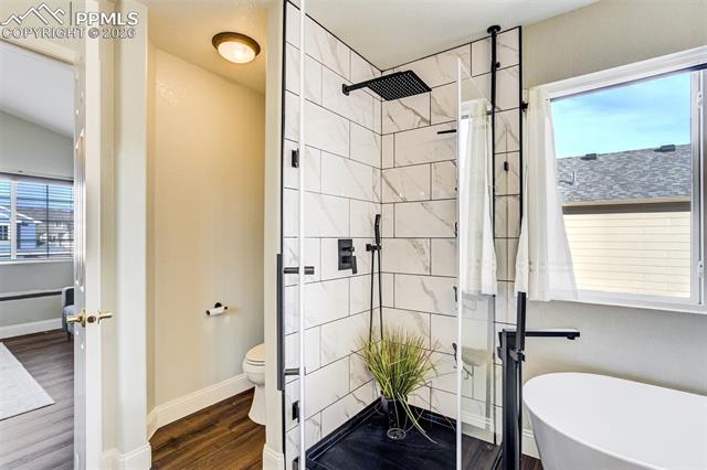 MLS Image for 3217  Sand Flower  ,Colorado Springs, Colorado