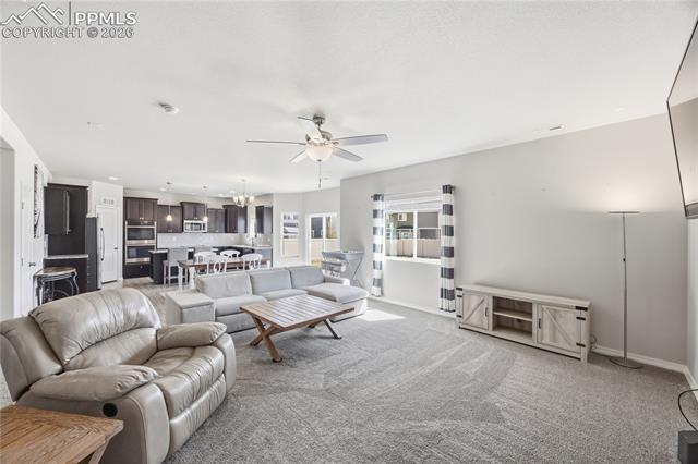 MLS Image for 8267  Basaltic  ,Colorado Springs, Colorado