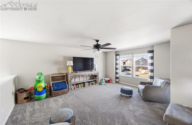 MLS Image for 8267  Basaltic  ,Colorado Springs, Colorado