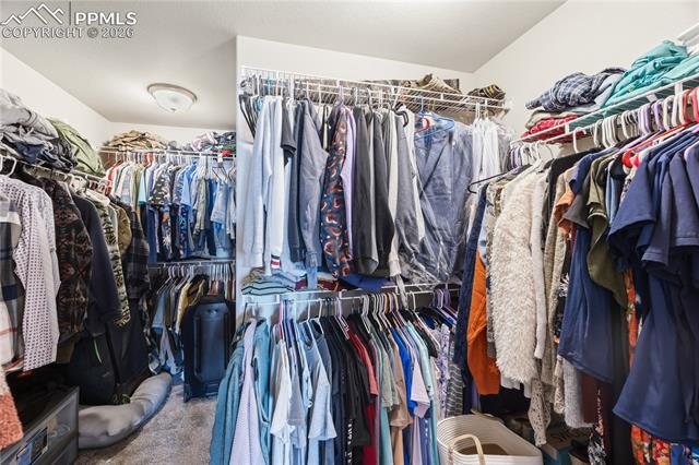MLS Image for 8267  Basaltic  ,Colorado Springs, Colorado