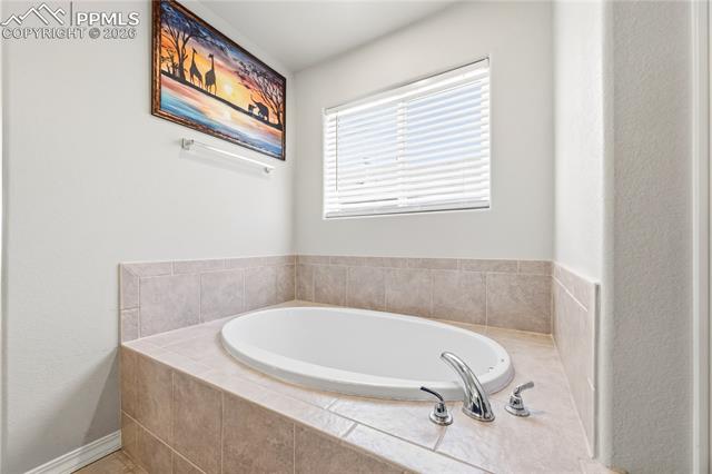 MLS Image for 8267  Basaltic  ,Colorado Springs, Colorado