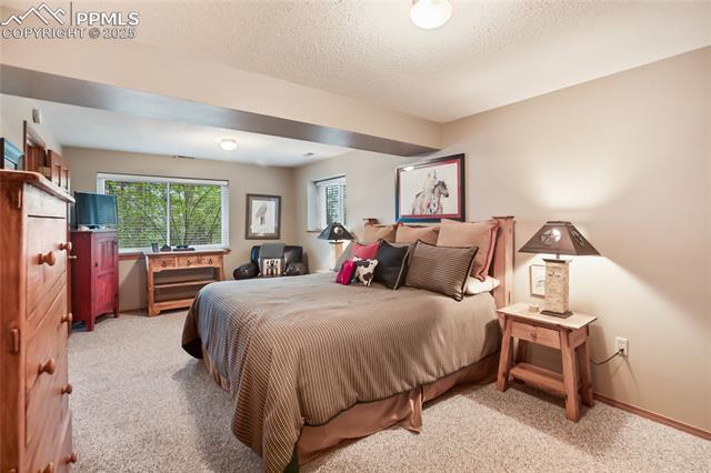 MLS Image for 451  Evergreen  ,Woodland Park, Colorado