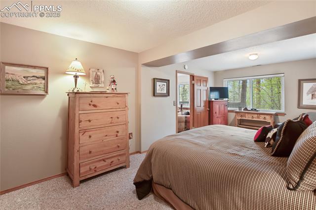 MLS Image for 451  Evergreen  ,Woodland Park, Colorado