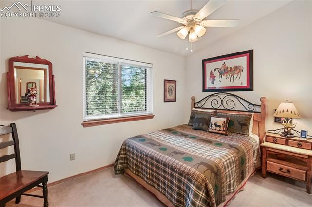 MLS Image for 451  Evergreen  ,Woodland Park, Colorado