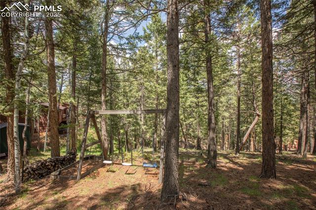 MLS Image for 451  Evergreen  ,Woodland Park, Colorado