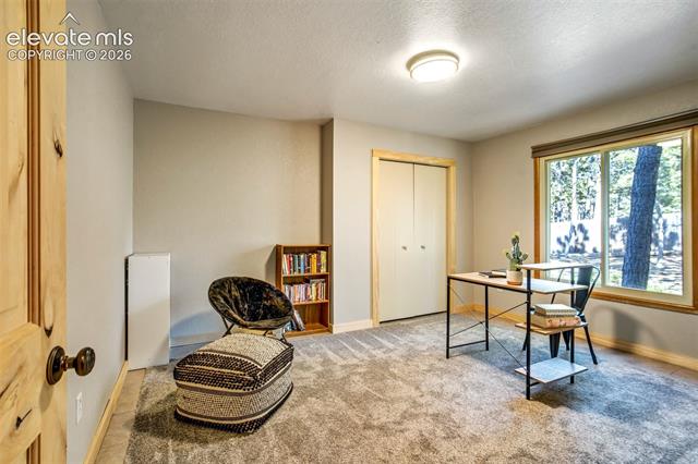 MLS Image for 1155  Becky  ,Colorado Springs, Colorado