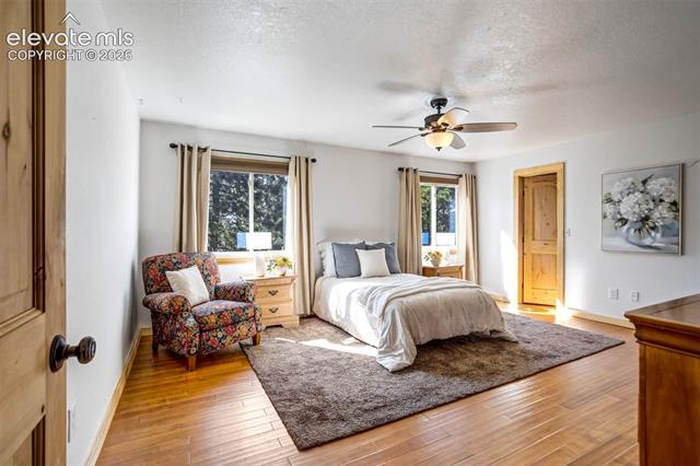 MLS Image for 1155  Becky  ,Colorado Springs, Colorado