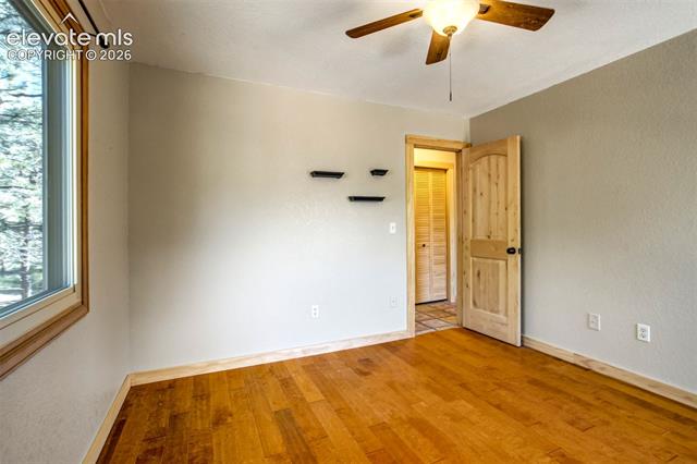 MLS Image for 1155  Becky  ,Colorado Springs, Colorado