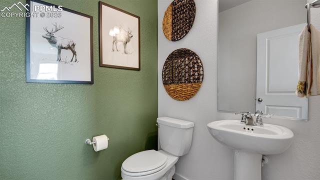 MLS Image for 3632  Evelyn  ,Colorado Springs, Colorado