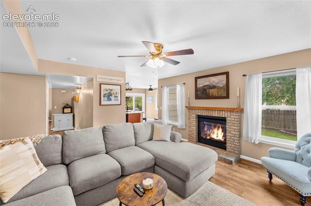 MLS Image for 7325  Sue  ,Colorado Springs, Colorado