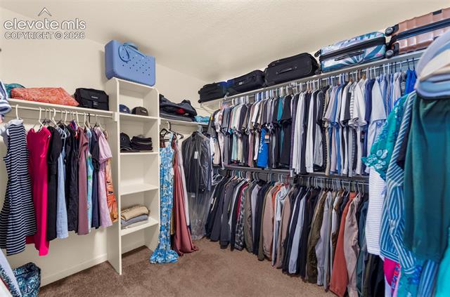 MLS Image for 7325  Sue  ,Colorado Springs, Colorado