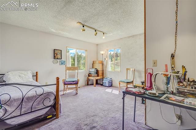 MLS Image for 1014  Elfin Glen  ,Divide, Colorado