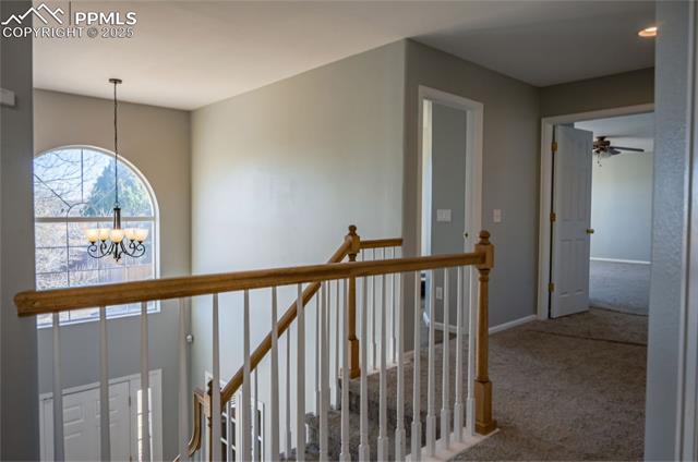 MLS Image for 4748  Templeton Gap  ,Colorado Springs, Colorado