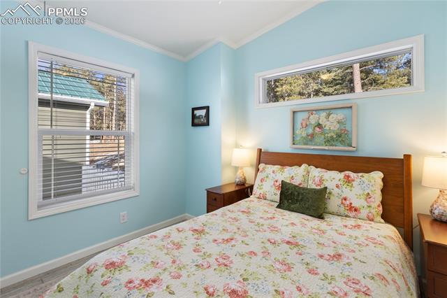 MLS Image for 1431  Calm Mountain  ,Woodland Park, Colorado