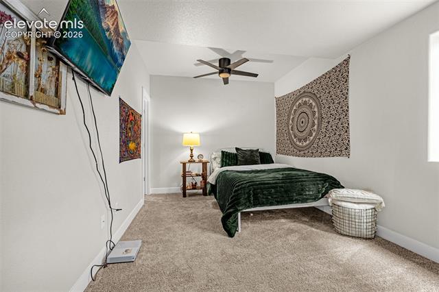 MLS Image for 8913  Bugaboo  ,Colorado Springs, Colorado
