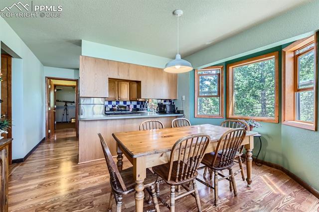 MLS Image for 147  Shavano Creek  ,Florissant, Colorado