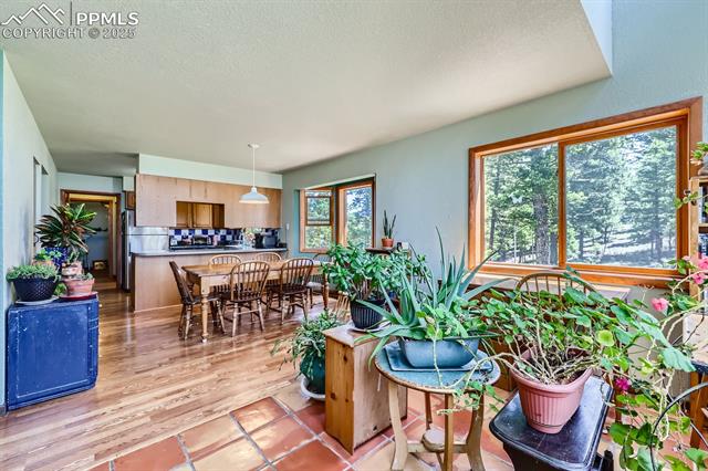 MLS Image for 147  Shavano Creek  ,Florissant, Colorado