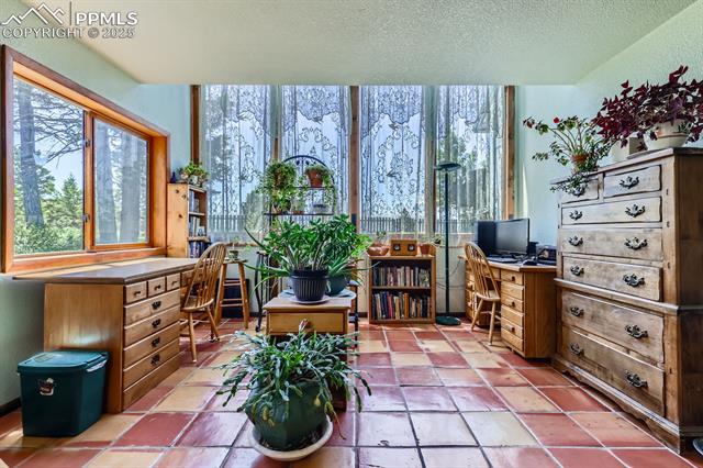 MLS Image for 147  Shavano Creek  ,Florissant, Colorado
