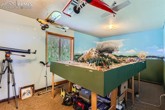 MLS Image for 147  Shavano Creek  ,Florissant, Colorado