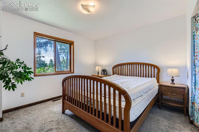 MLS Image for 147  Shavano Creek  ,Florissant, Colorado