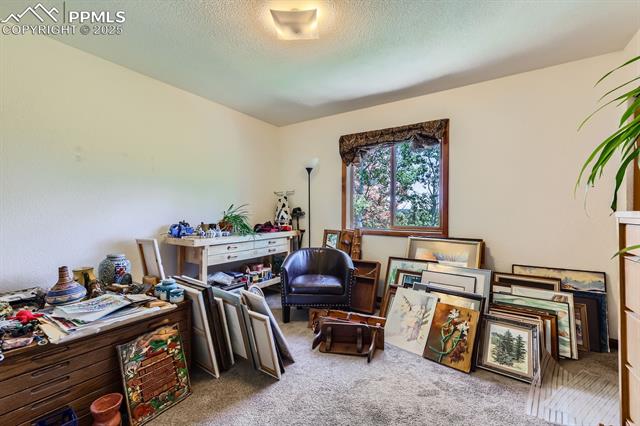 MLS Image for 147  Shavano Creek  ,Florissant, Colorado
