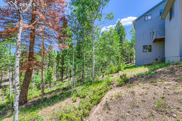 MLS Image for 147  Shavano Creek  ,Florissant, Colorado