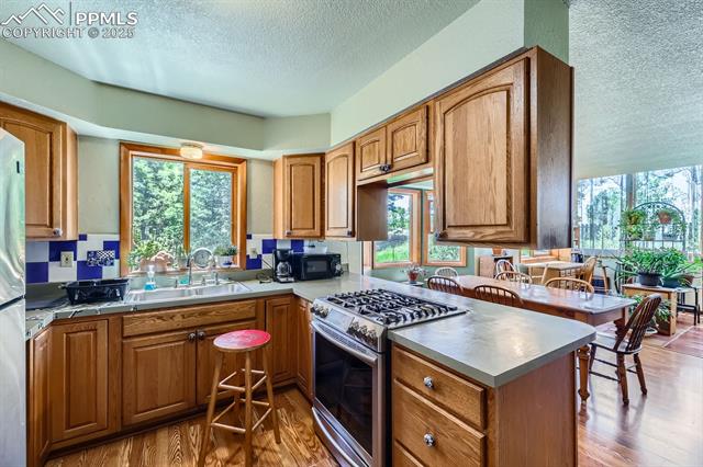 MLS Image for 147  Shavano Creek  ,Florissant, Colorado